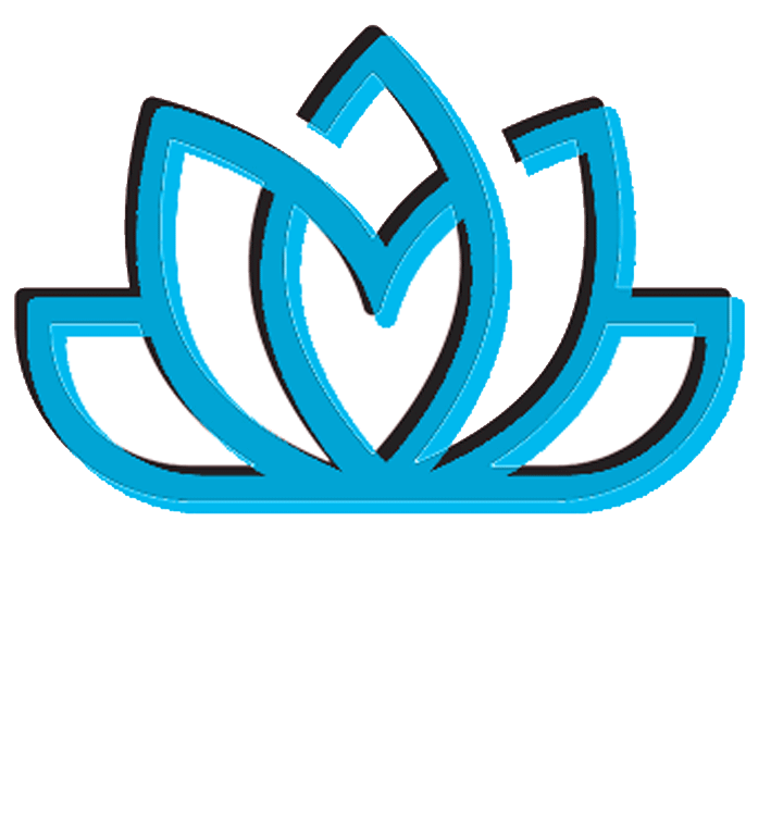 logo merv